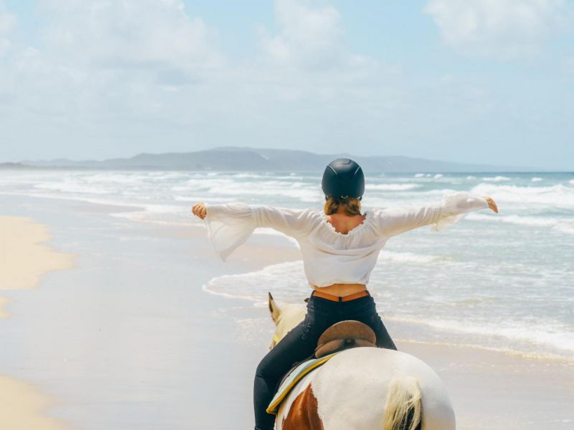 Award-winning Noosa Tourism Business 502328 1