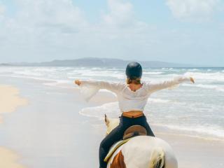 Award-Winning Noosa Tourism Business for Sale – Iconic Beach Horse Riding Experience (SOLD)