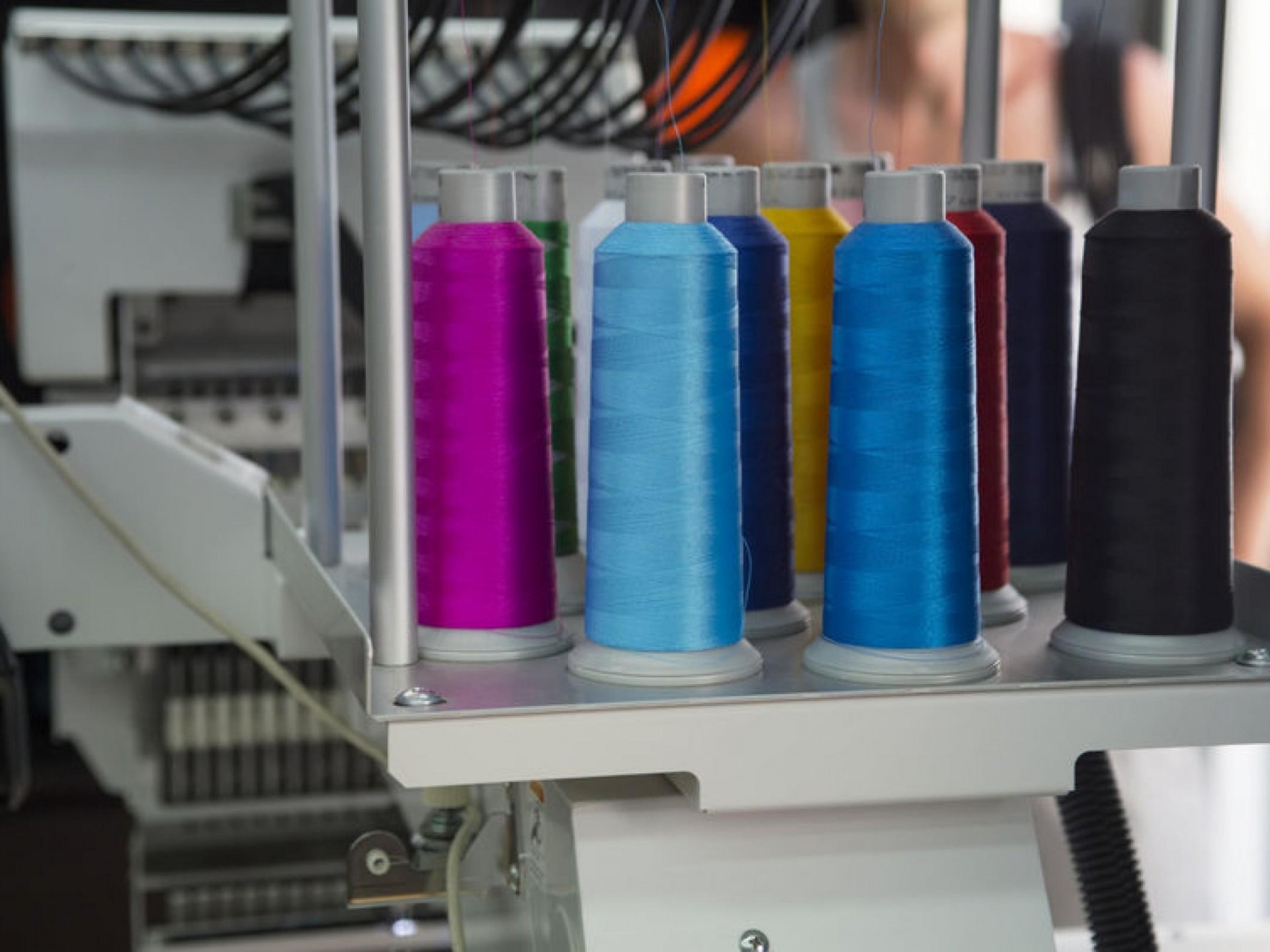 Screen Printing And Uniform 503703 3