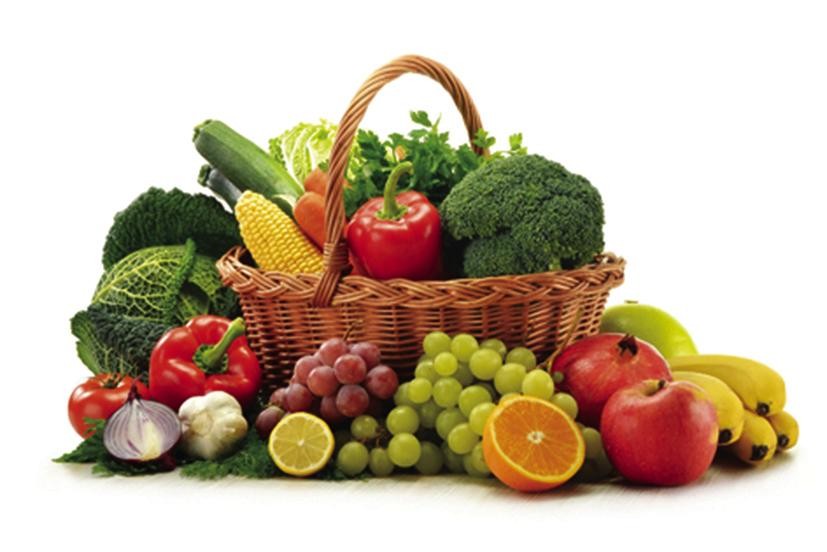 Well Established Fruit & 504409 2