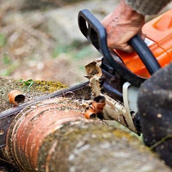 Professional Tree Services Business 505985 3