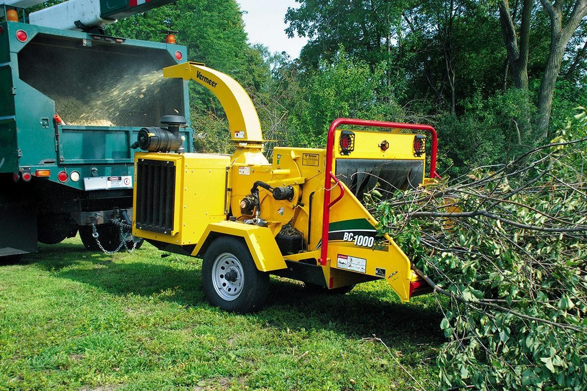 Well Established Tree Maintenance 507050 2