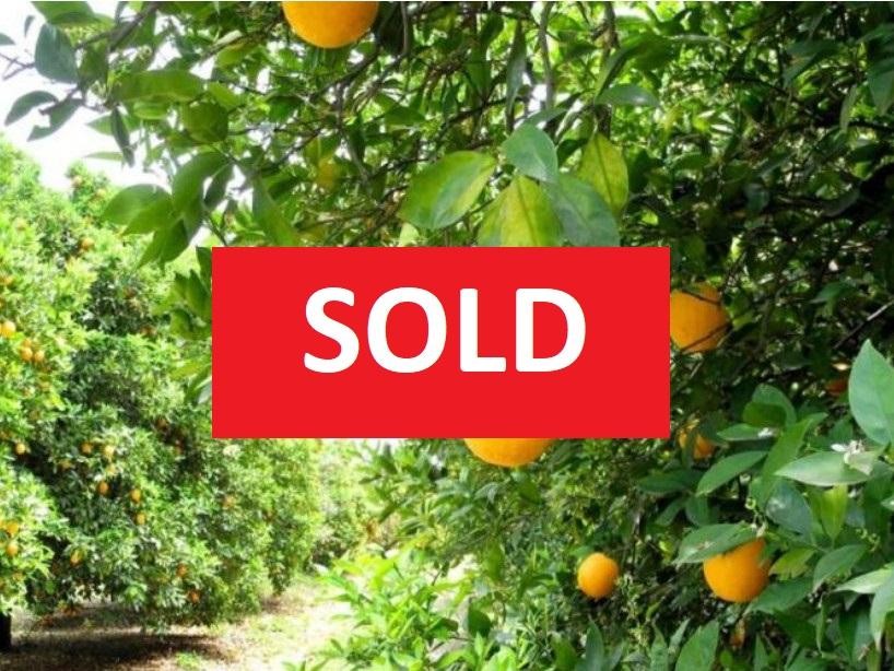 “sold” Conservation And Land 508085 1