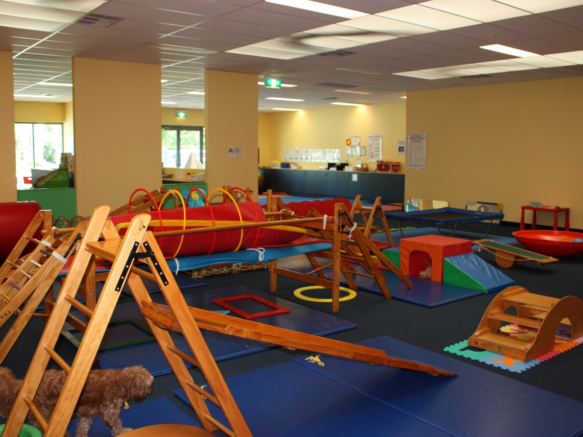 Early Childhood & Development 508335 2