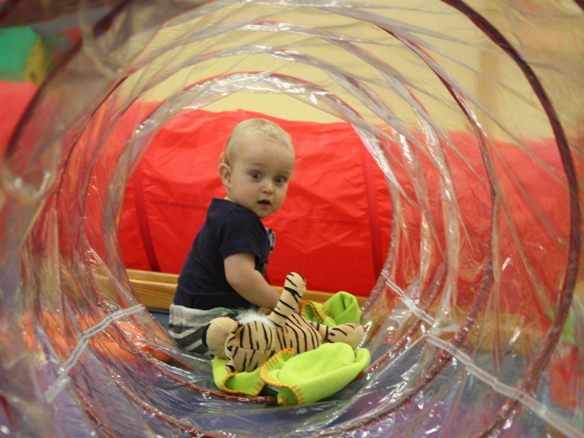 Early Childhood & Development 508555 2