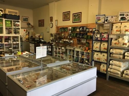 Lovers Of Cats + 508942 2