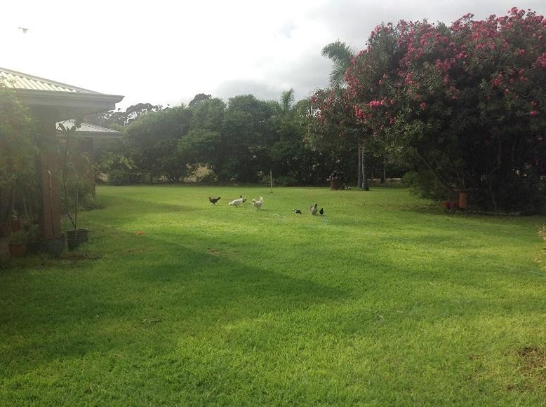 Horticultural Hydroponic Business Freehold 509296 3