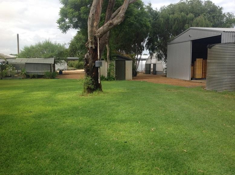 Horticultural Hydroponic Business Freehold 509296 1