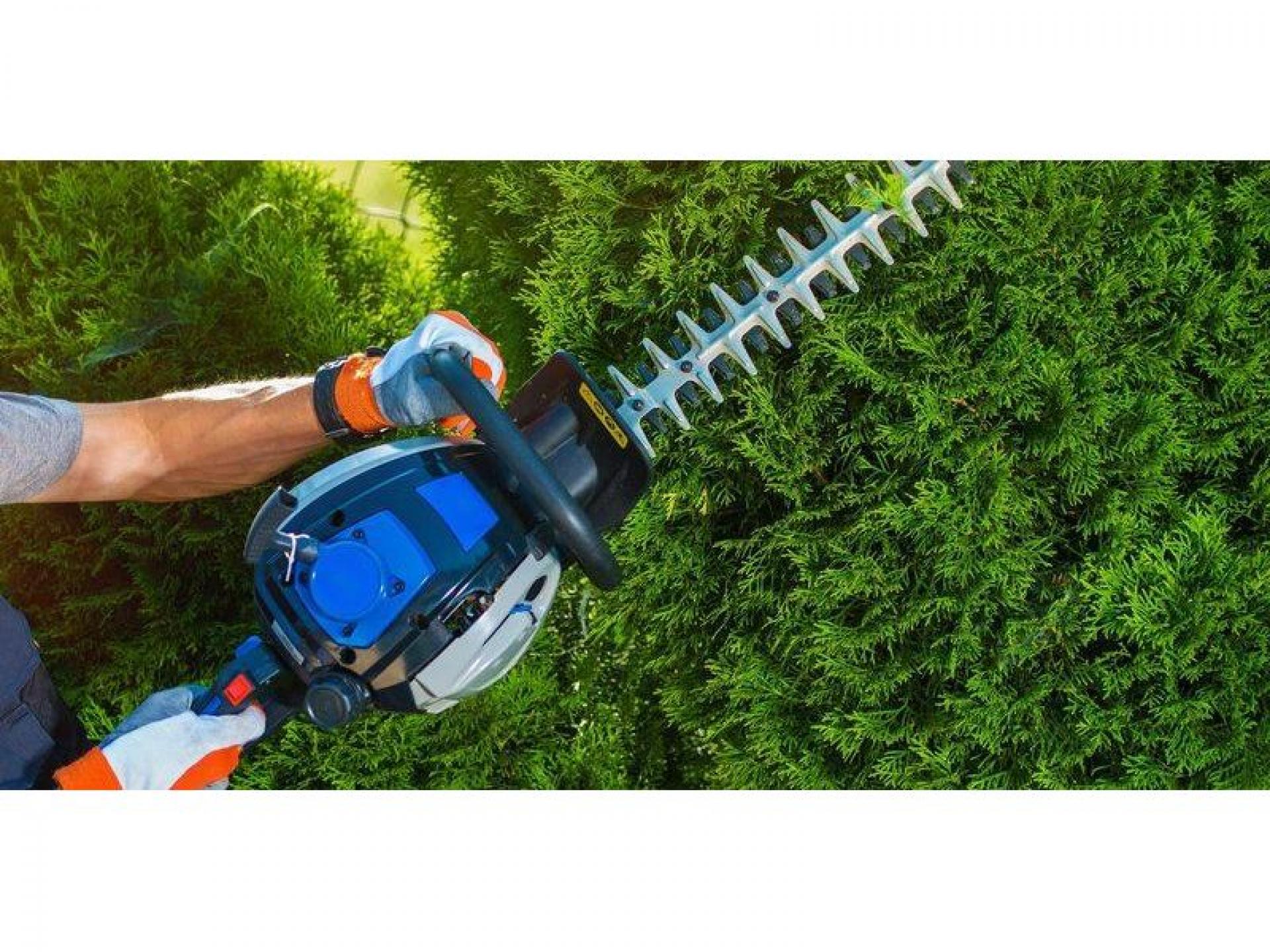 Commercial Property Grounds Maintenance 511002 2