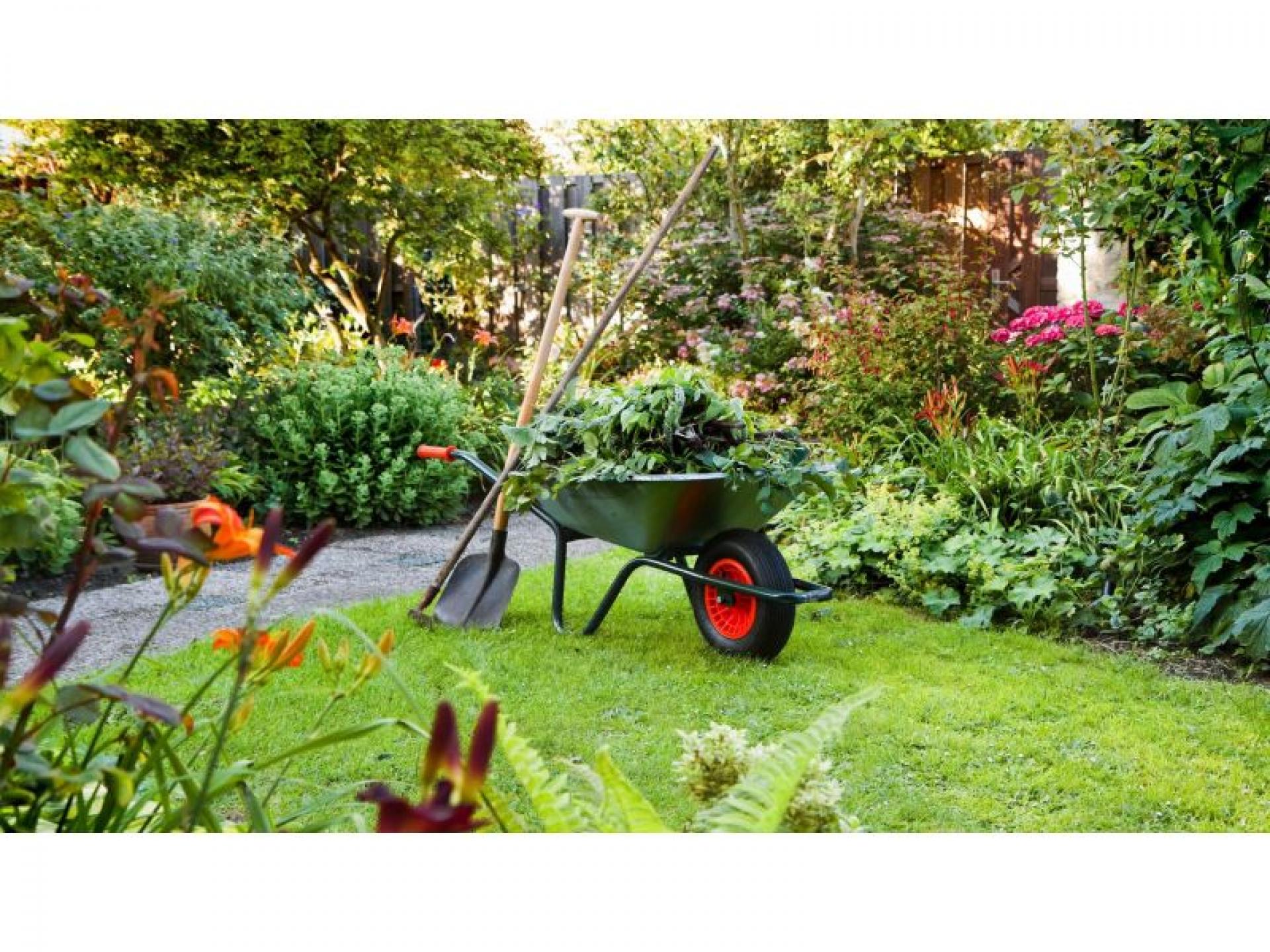 Commercial Property Grounds Maintenance 511002 3