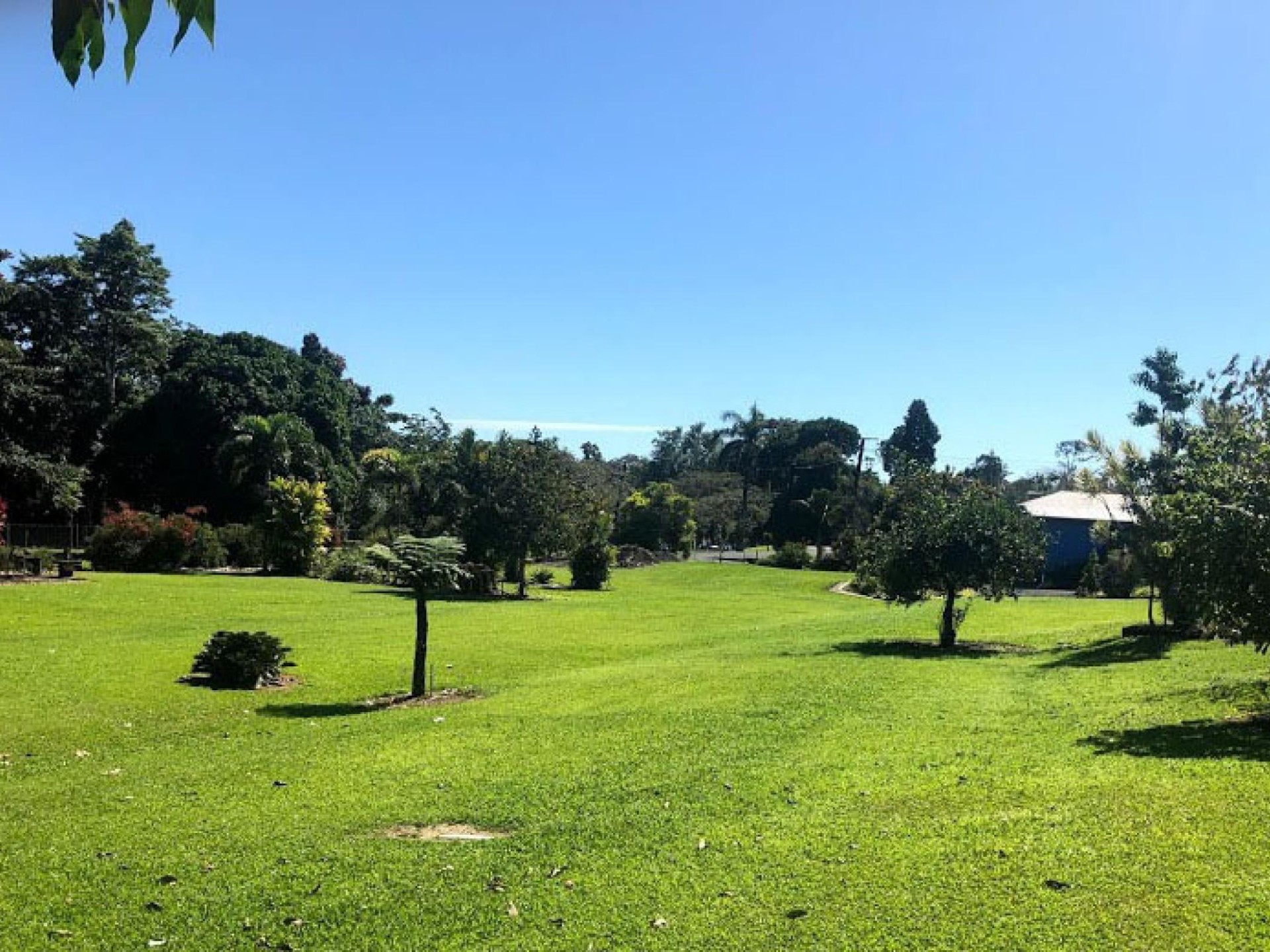 Price Reduction! North Qld 520990 3