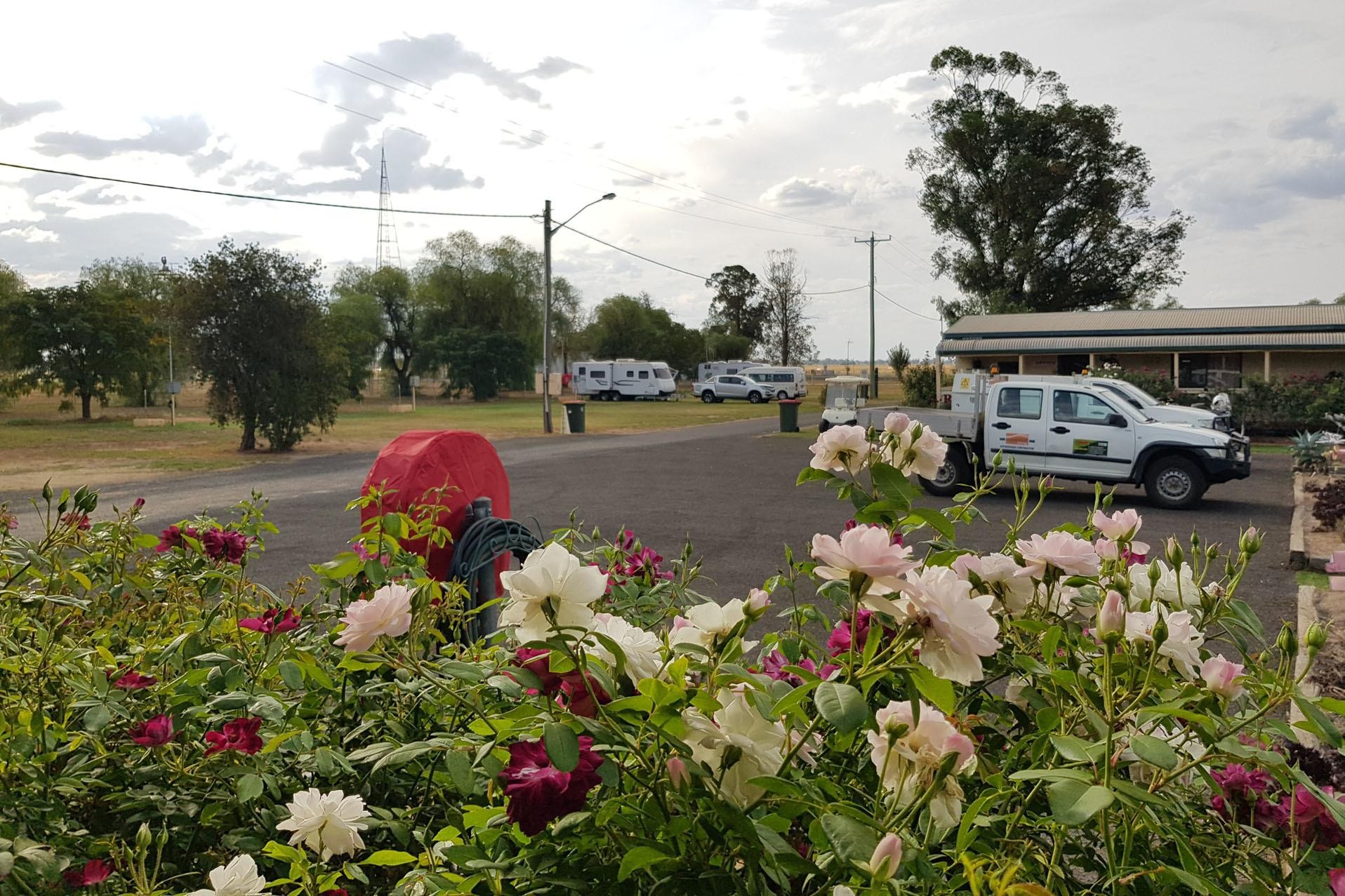 Neat Nsw Tourist Park 520999 2