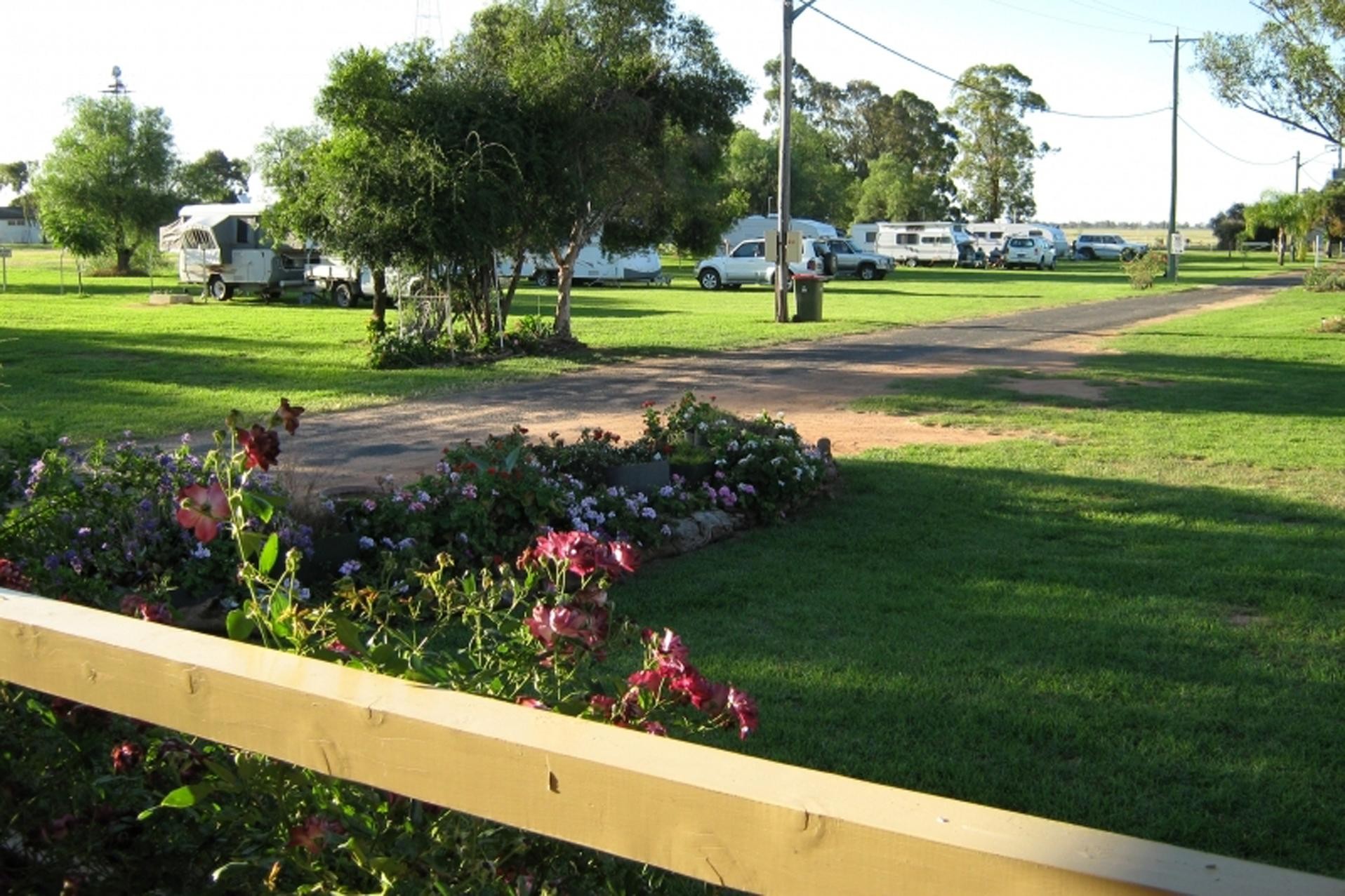 Neat Nsw Tourist Park 520999 1