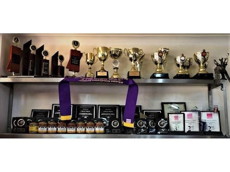 Award Winning Butcher Shop 523359 2