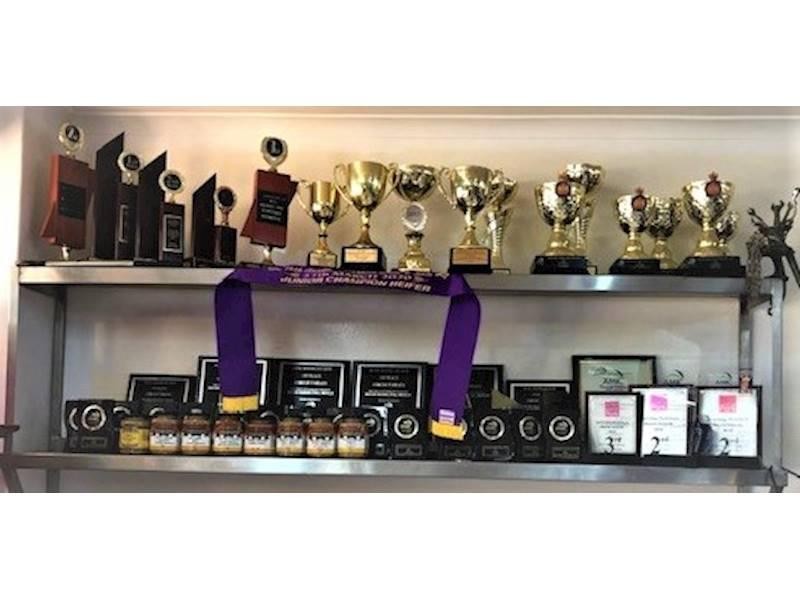 Award Winning Butcher Shop 523359 1