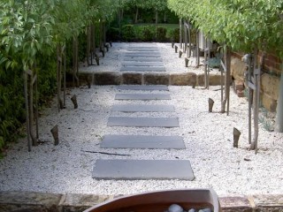 Landscape Construction & Maintenance
