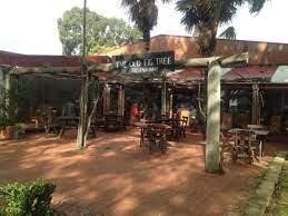 Licensed Restaurant – Swan 523943 1