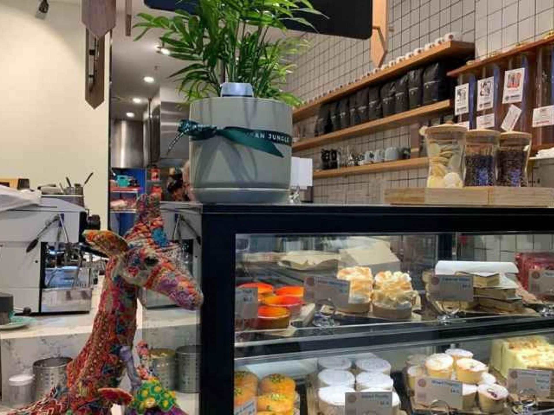 Highly Profitable Café Franchise 524698 2