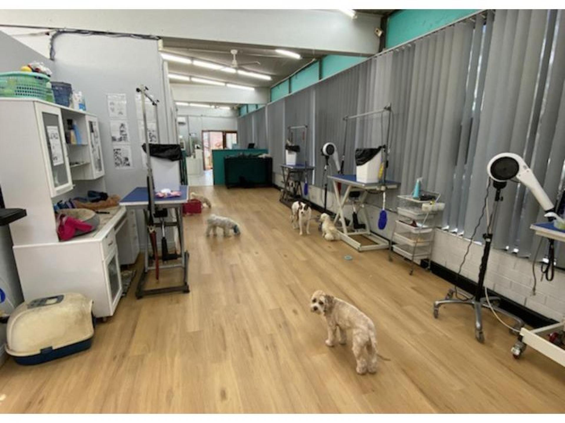 Professional Dog Grooming Salon 525140 2