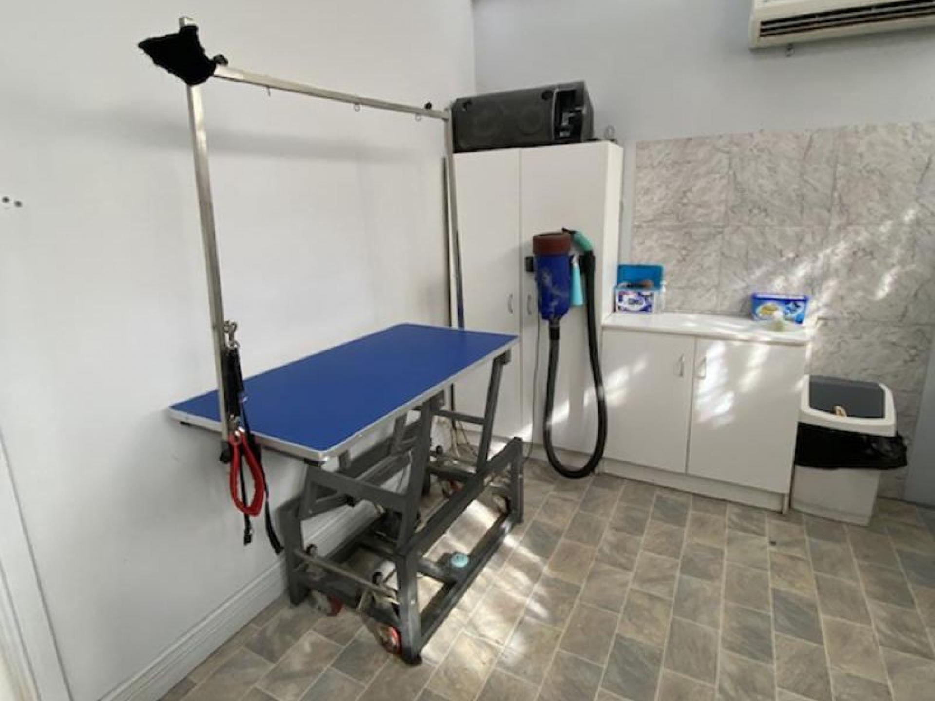 Professional Dog Grooming Salon 525140 3