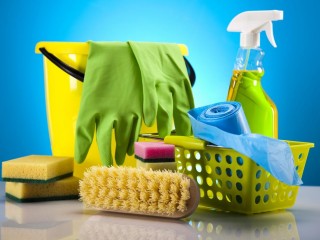 Cleaning Business with Impressive Client