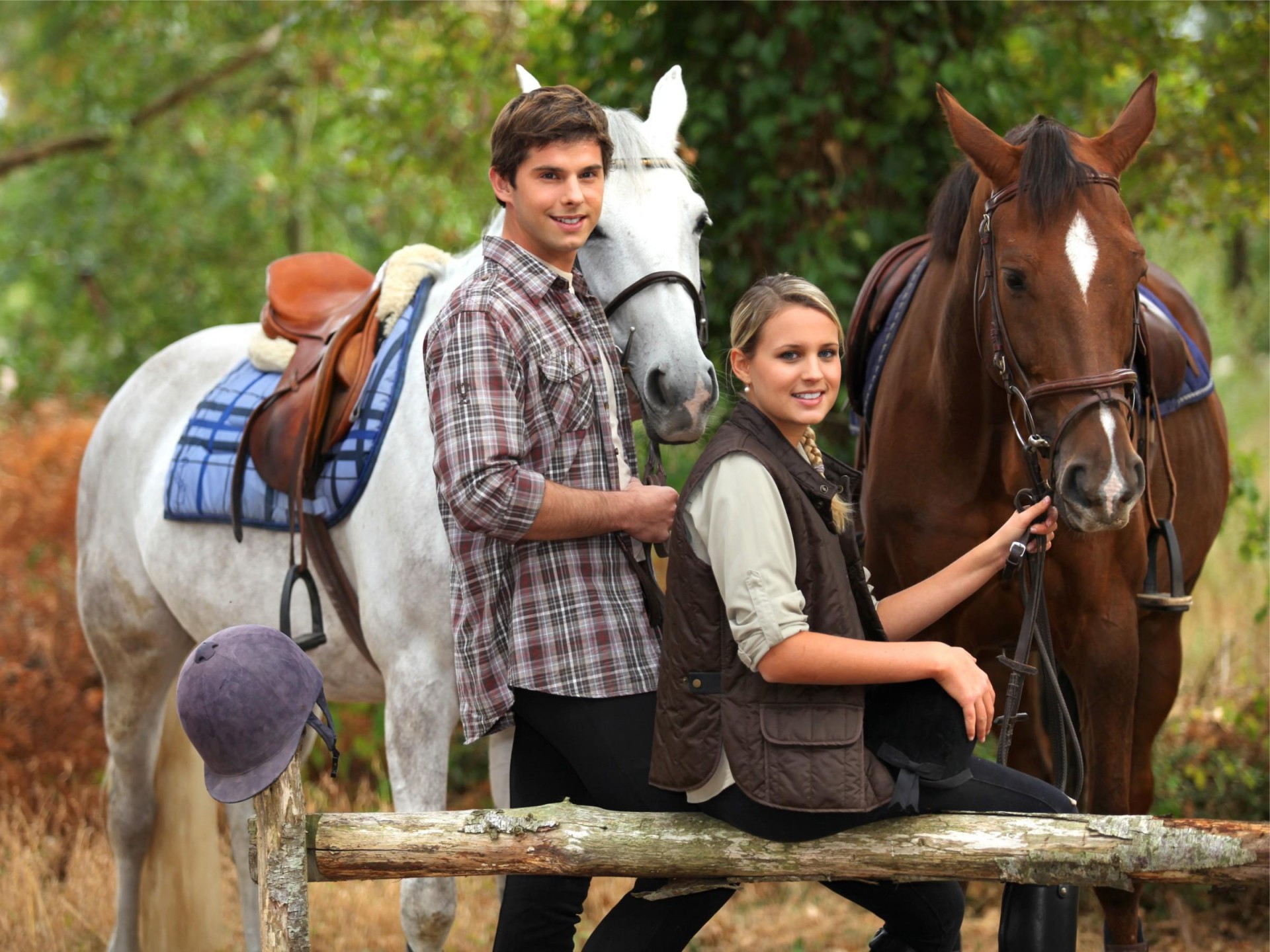 Saddlery Store Toowoomba - 530731 2