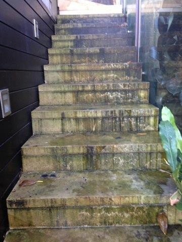 Window & Pressure Cleaning 531508 3