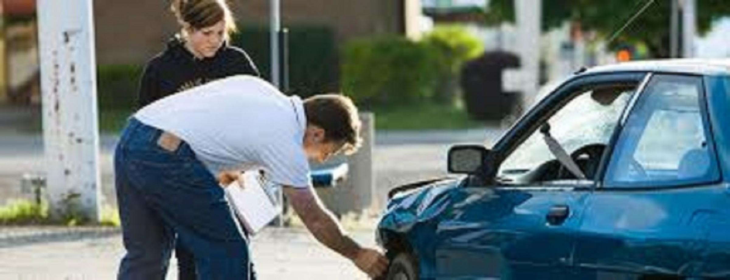 Premier Panel Paint And 531571 2