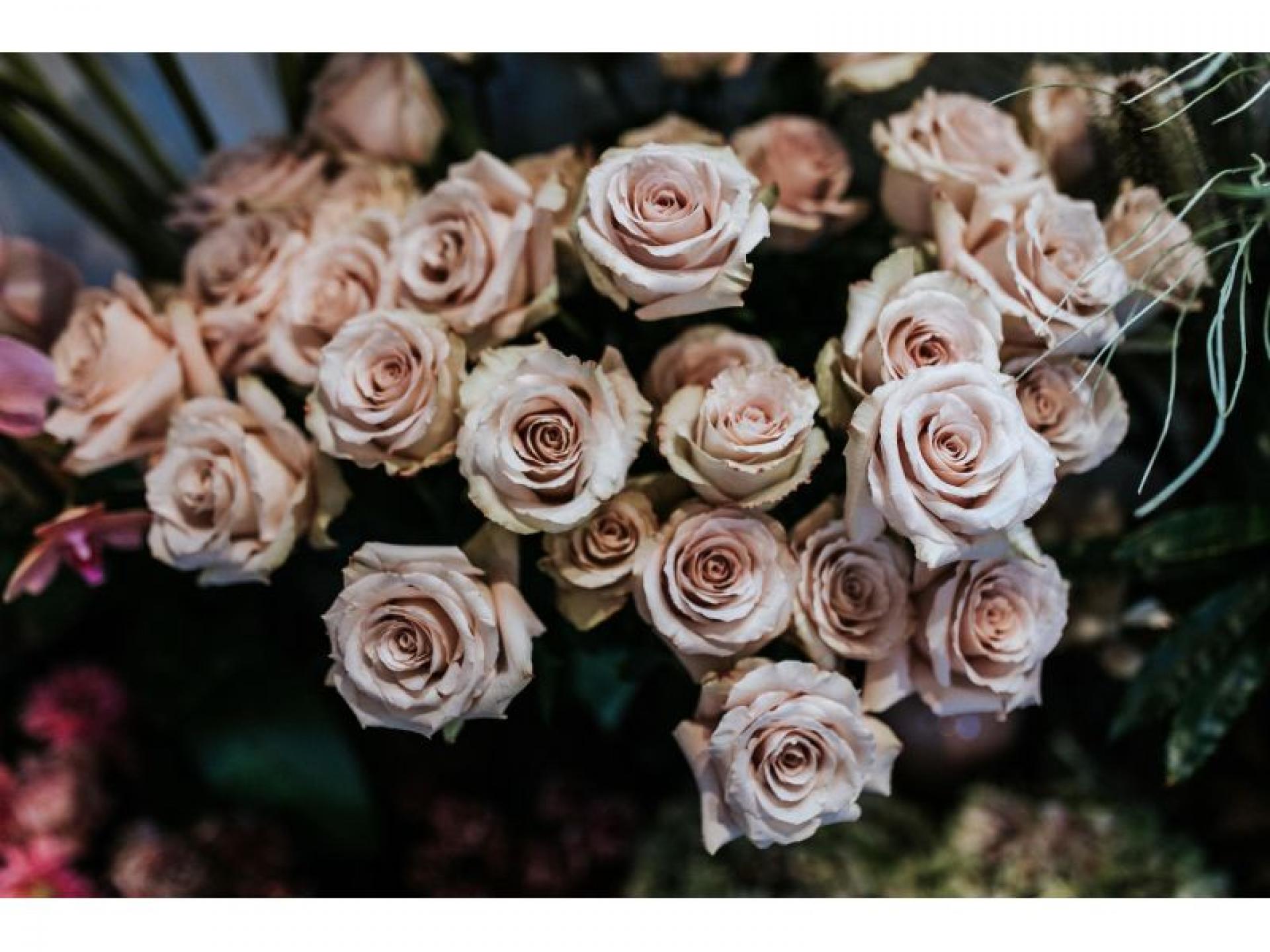 Always Flowers Kiama 532528 3