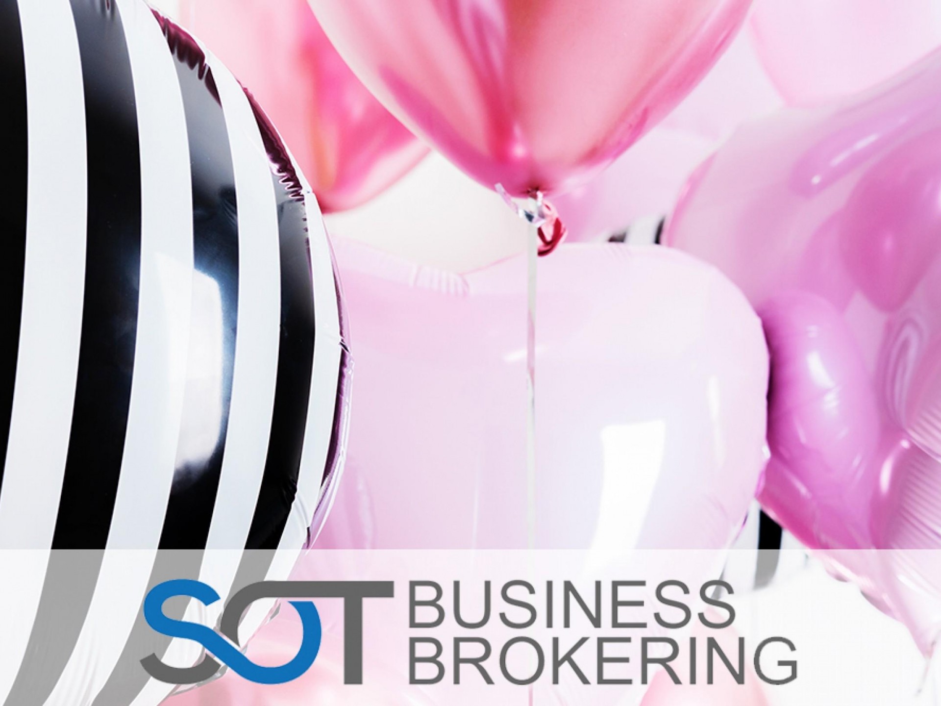 Party Shop - Well 532908 1