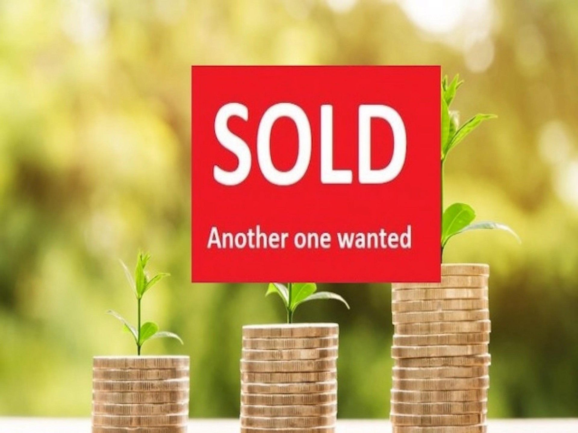 Domestic Hospitality Retail Business 532959 1