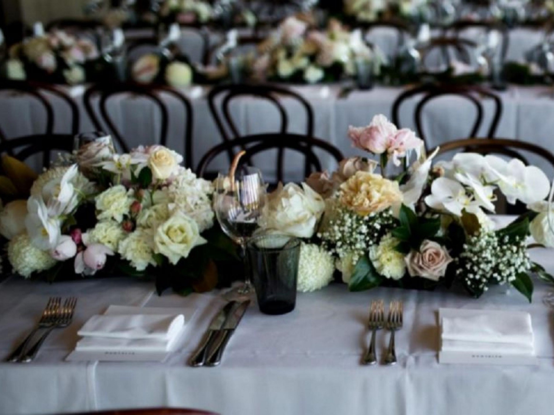 Watch Your Business Blossom 532968 3