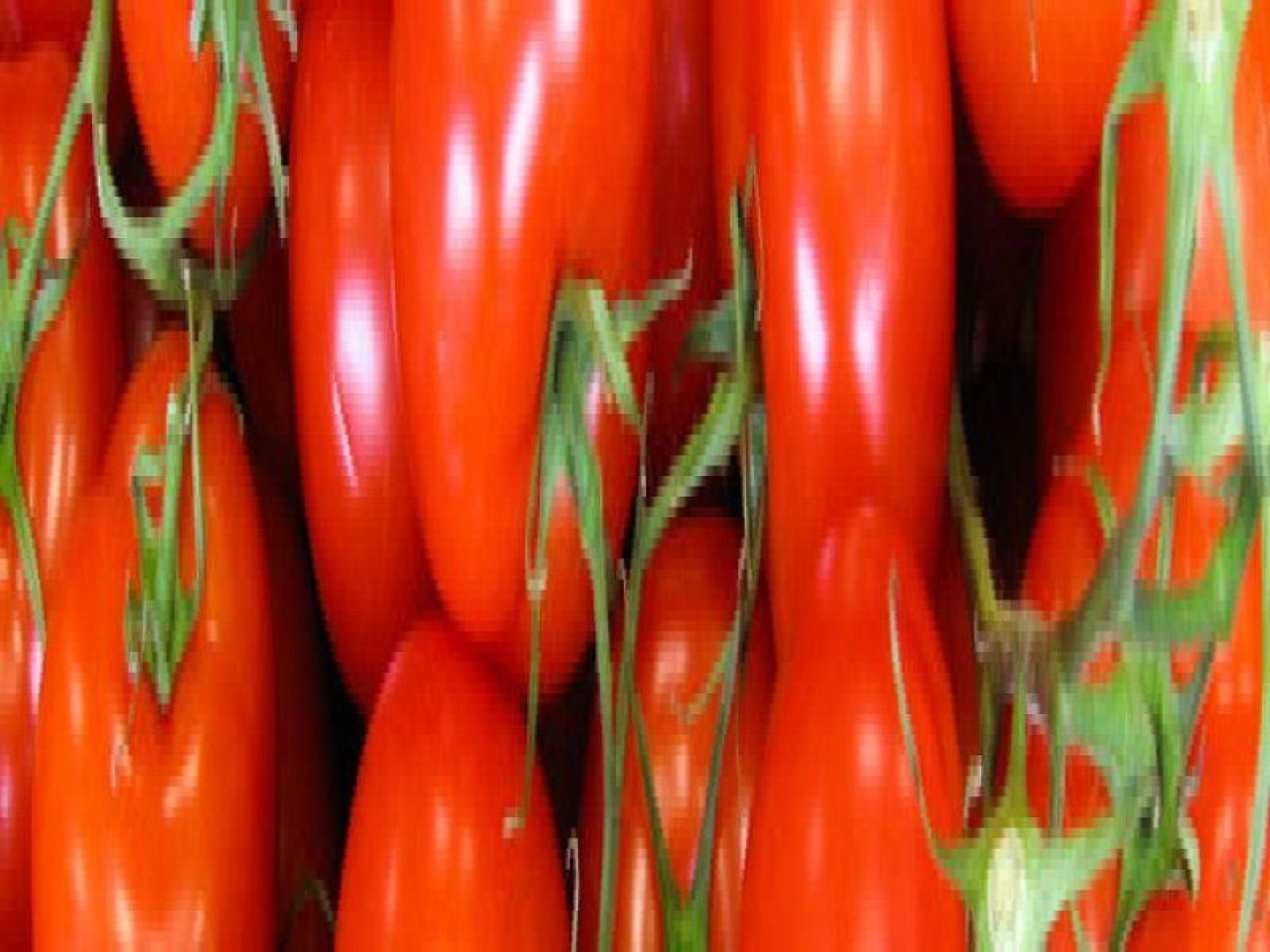 Organic Fruit And Vegetables 535435 1