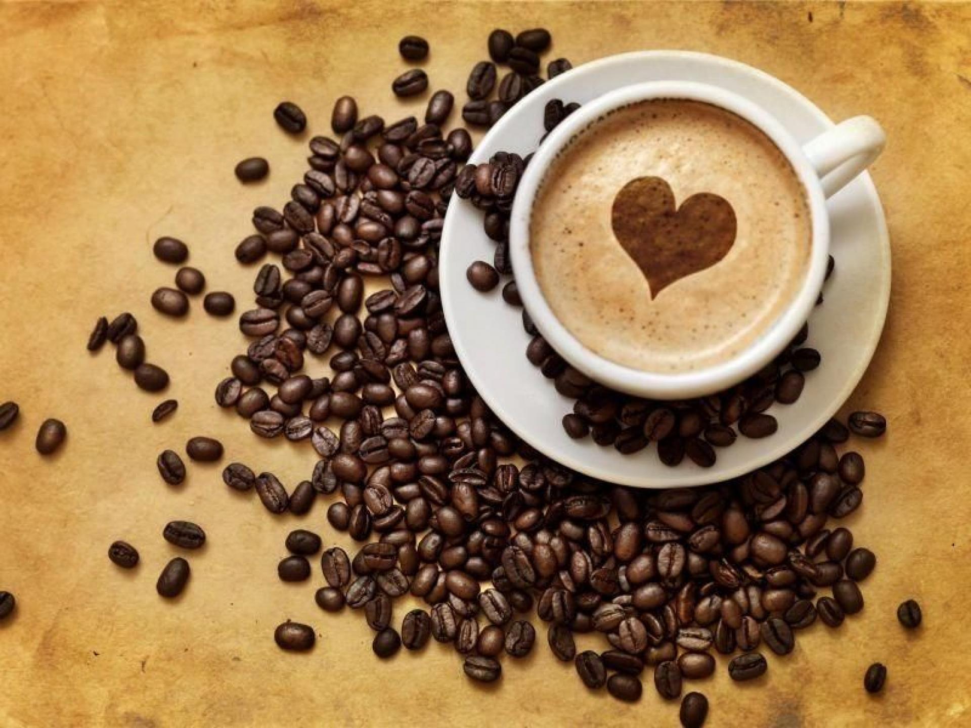 Cafe Mosman 535469 1