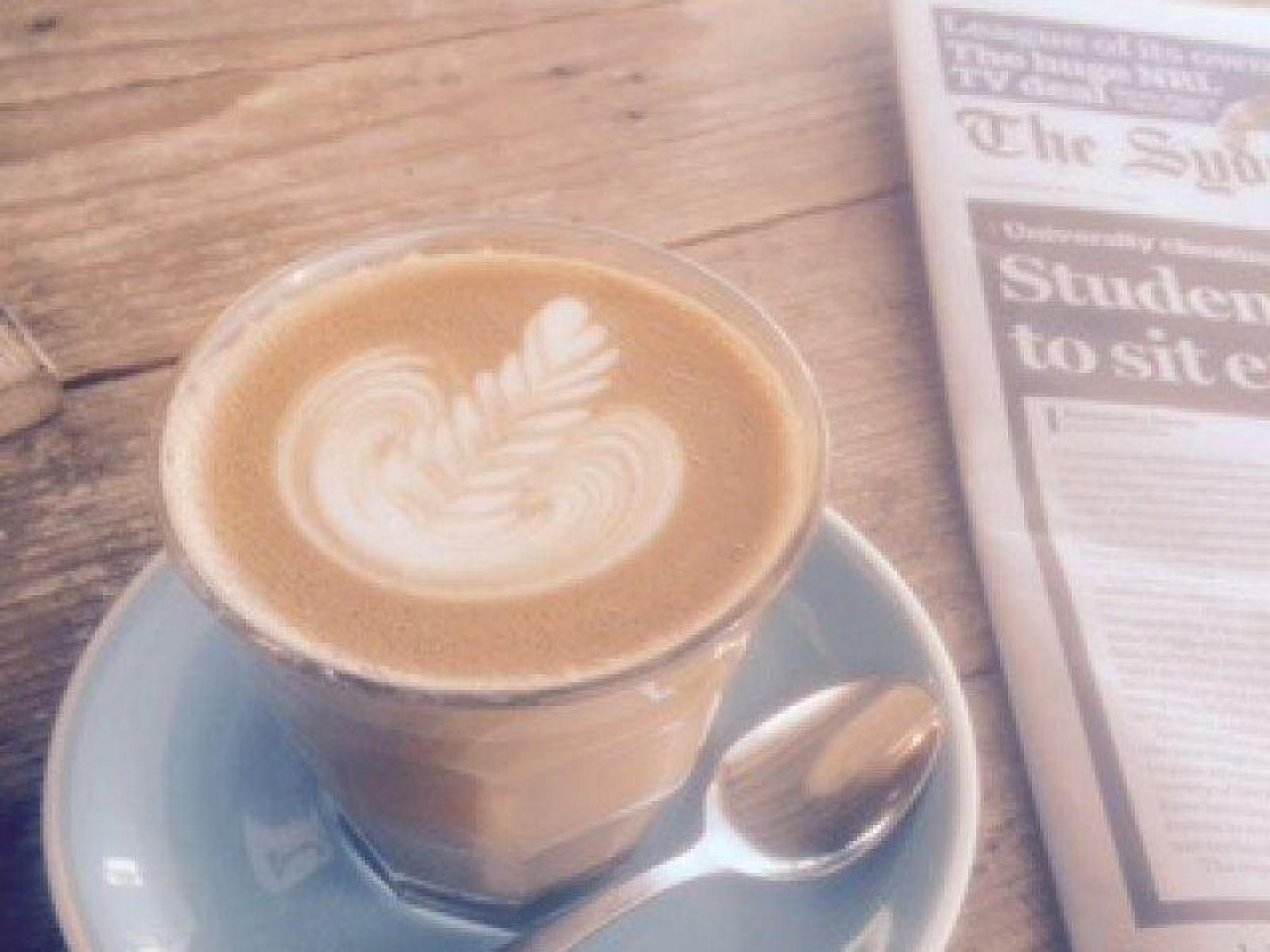 Cafe Kiosk For Sale 535485 1