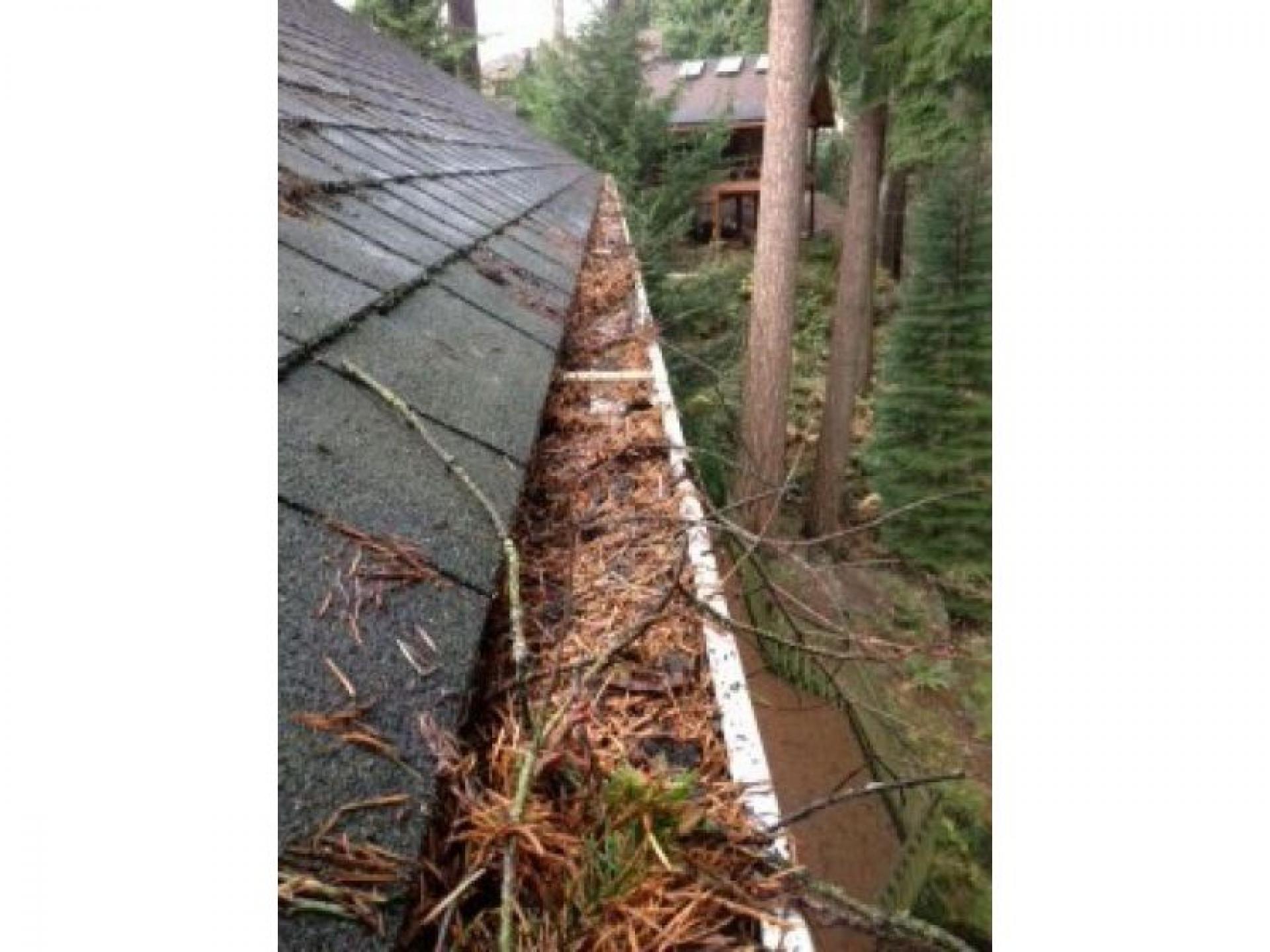 Gutter Cleaning Business – 535499 2