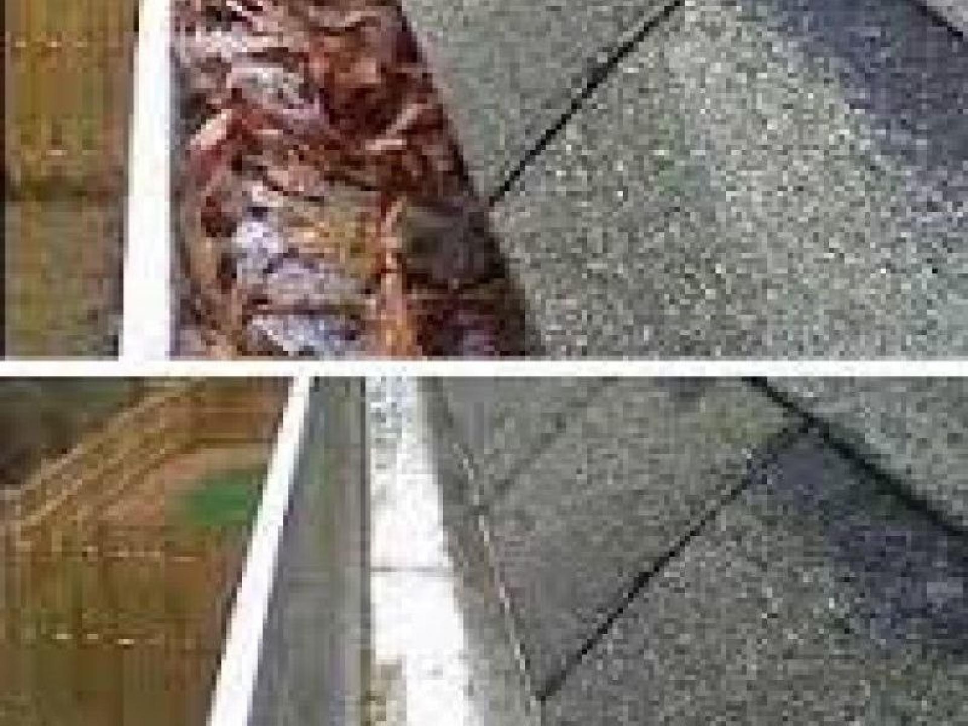 Gutter Cleaning Business – 535499 3