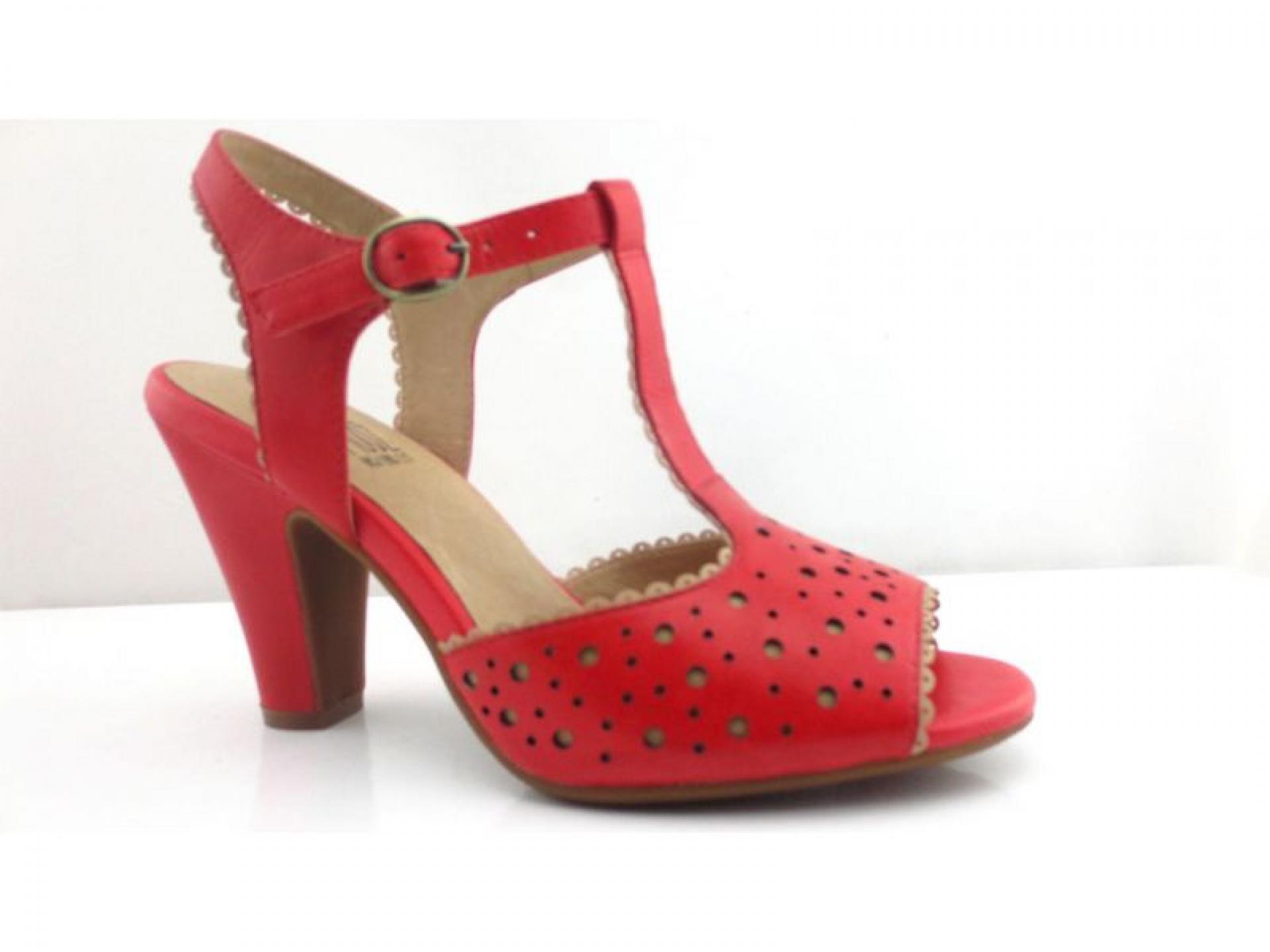 Import Distribution & Wholesale 535503 1