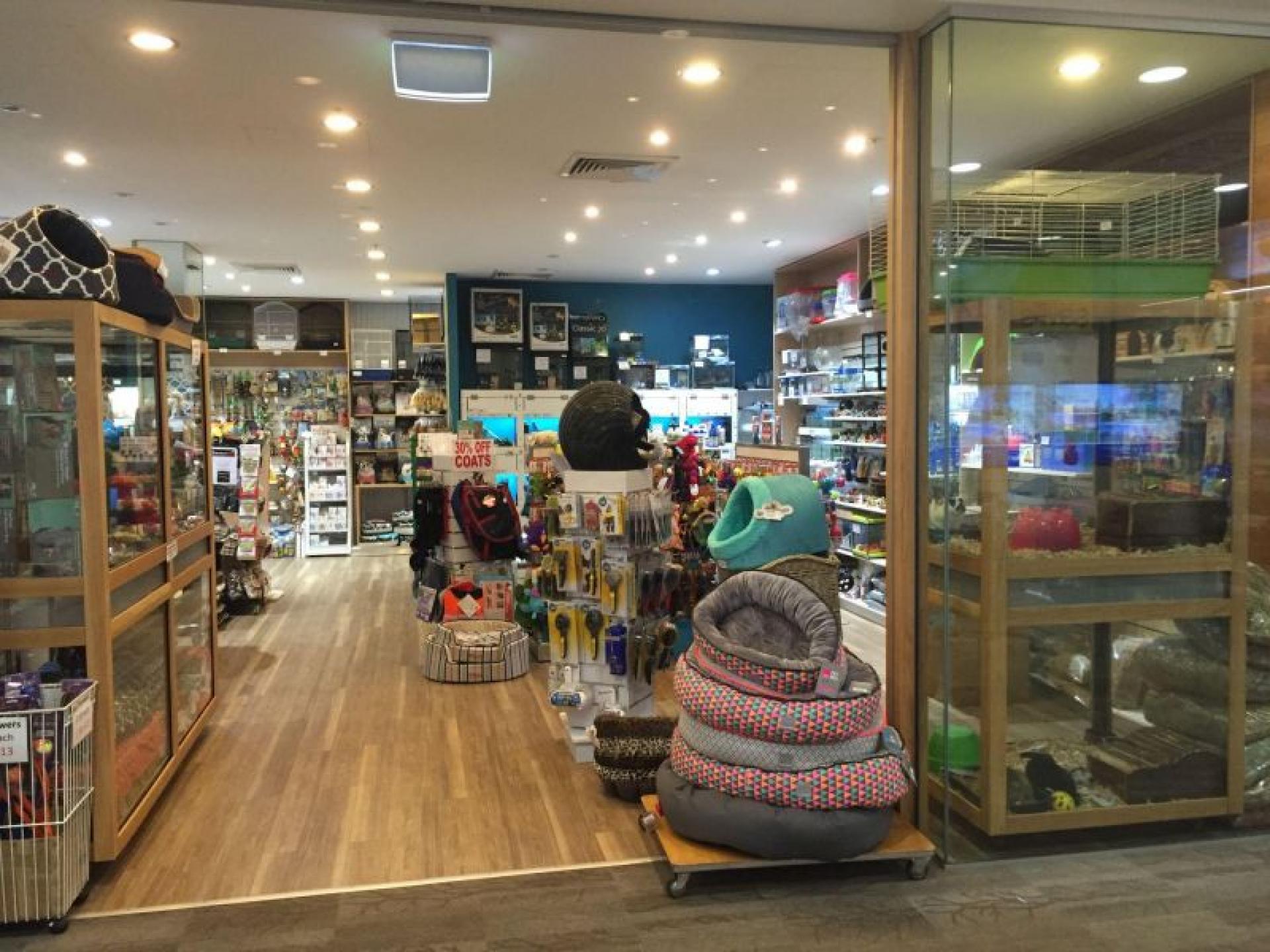 Pet Store- Retail And 535507 1