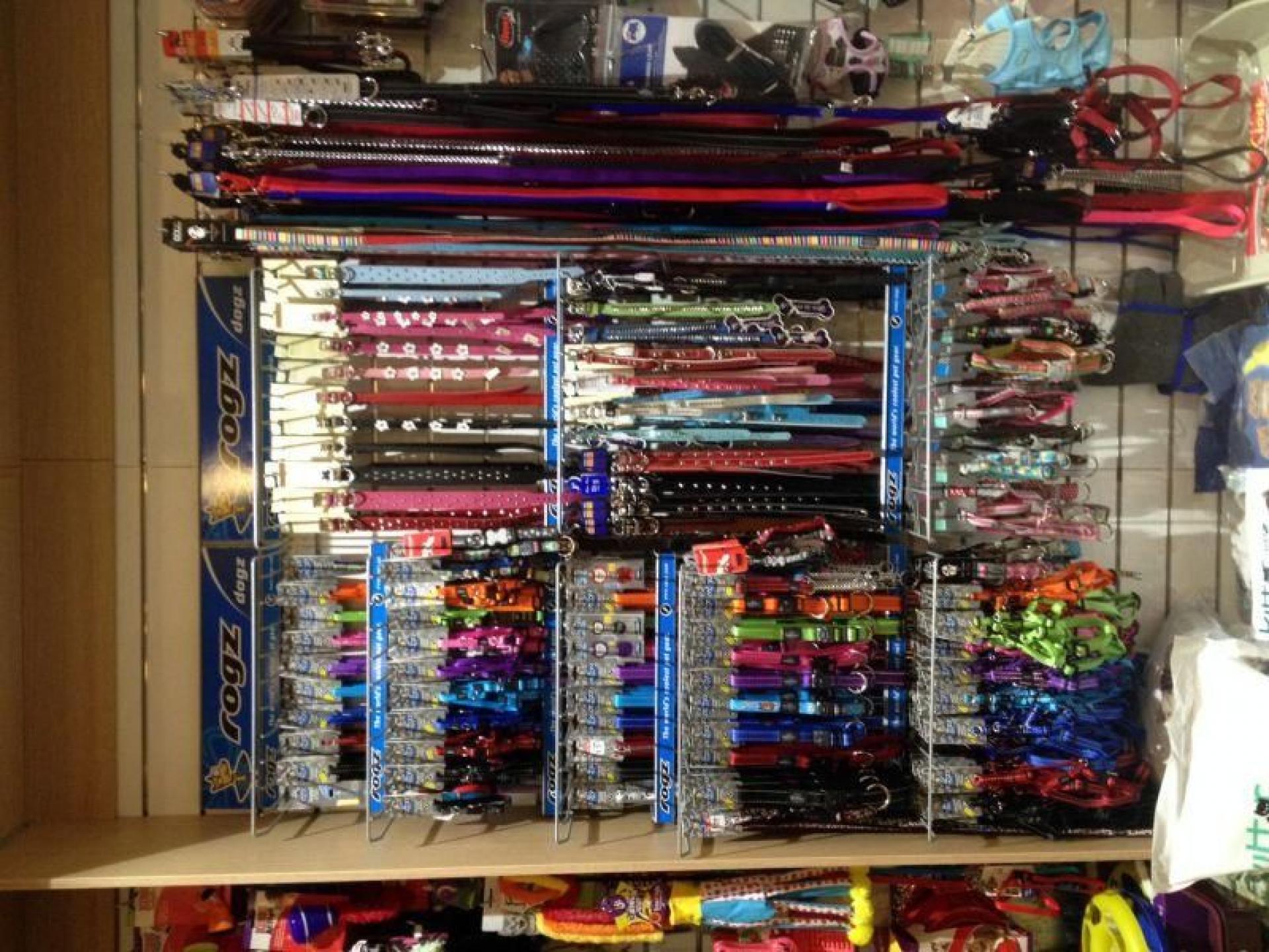 Pet Store- Retail And 535507 3