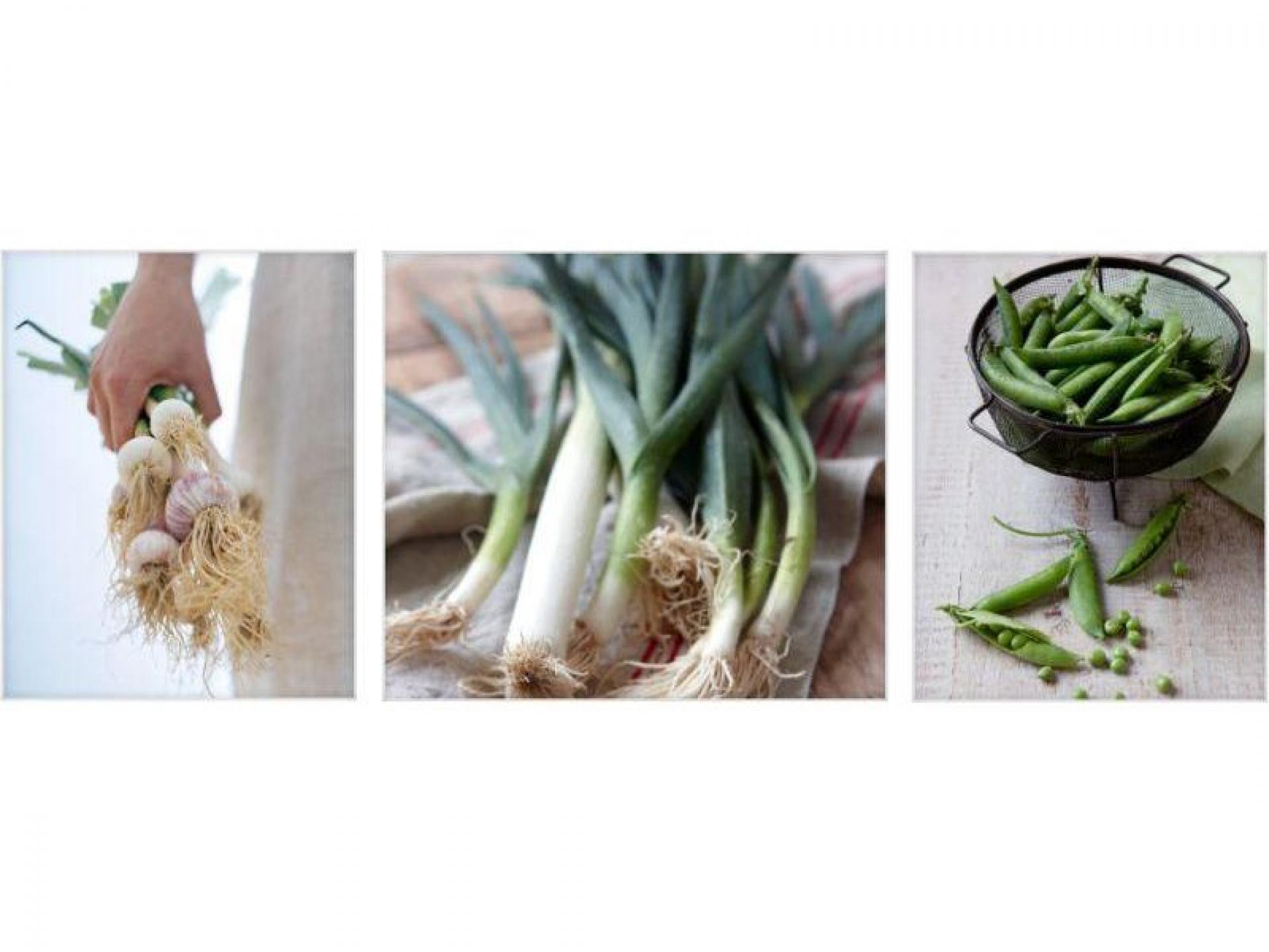 Home Based Business- Procurement 535557 1