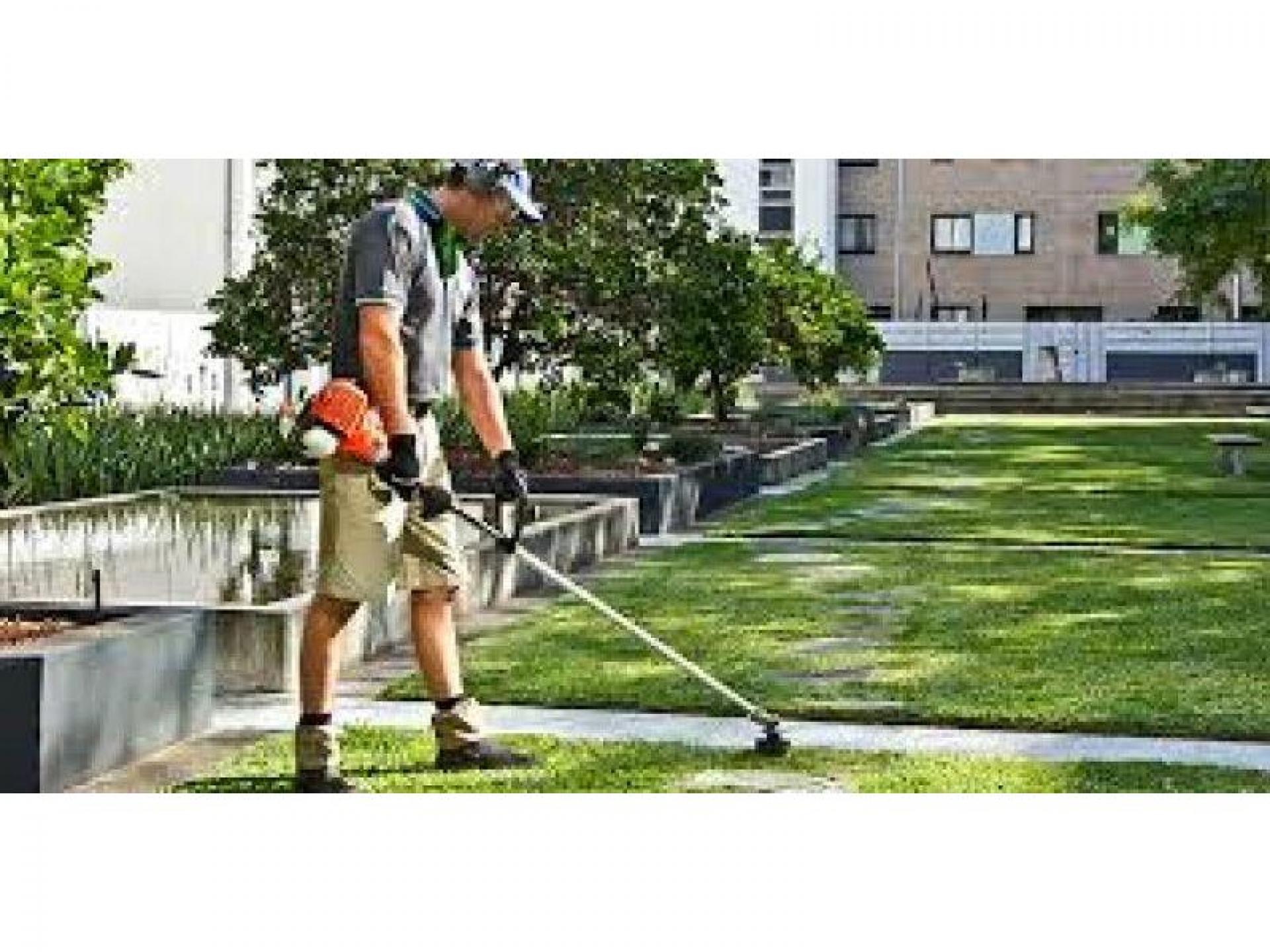 Established Strata Cleaning Company 535561 1
