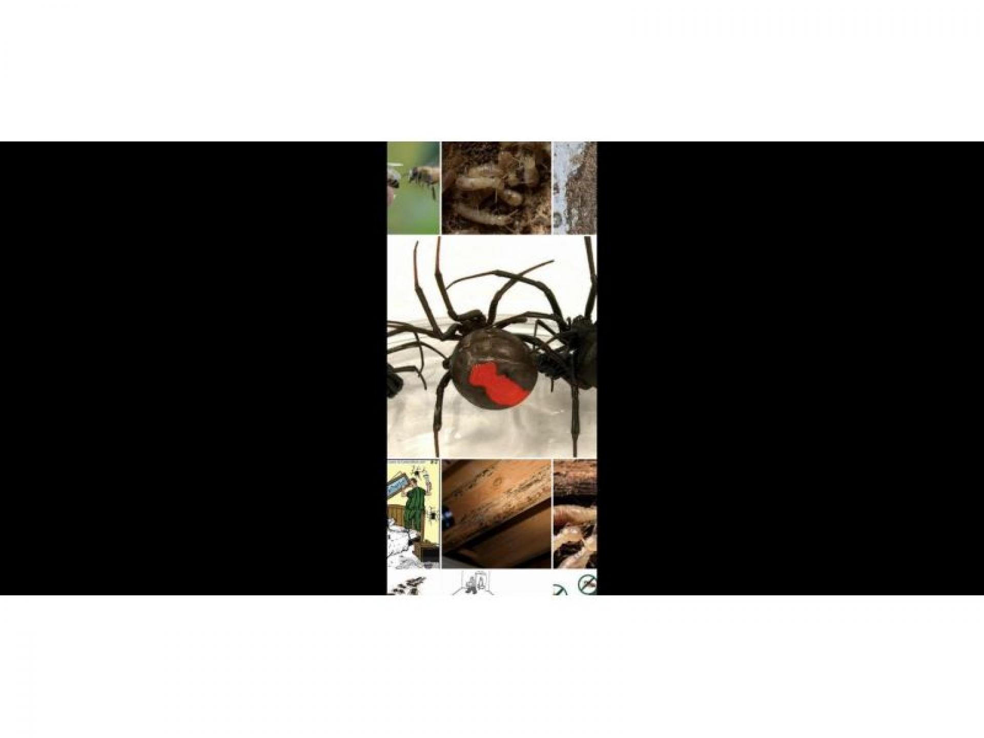 Pest Control Business For 535991 1