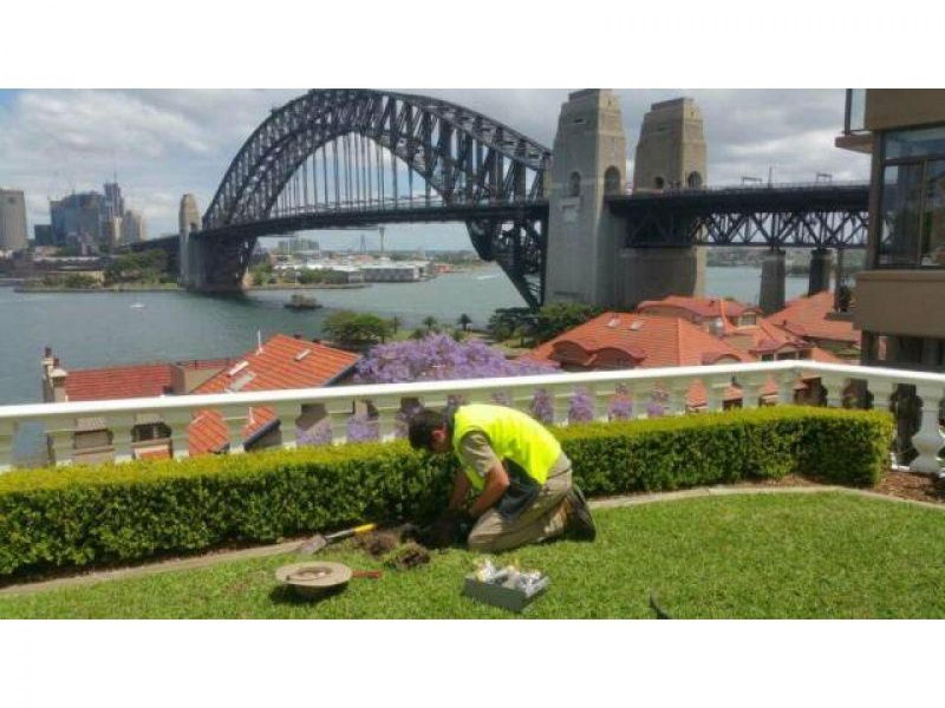 Garden & Strata Maintenance 539445 3