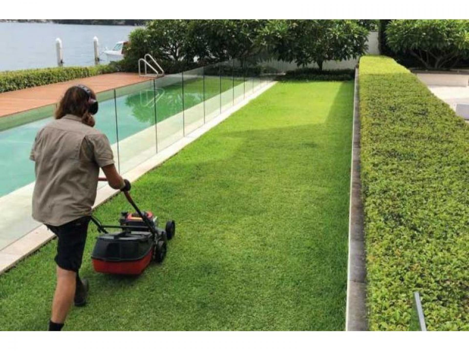 Garden & Strata Maintenance 539445 1