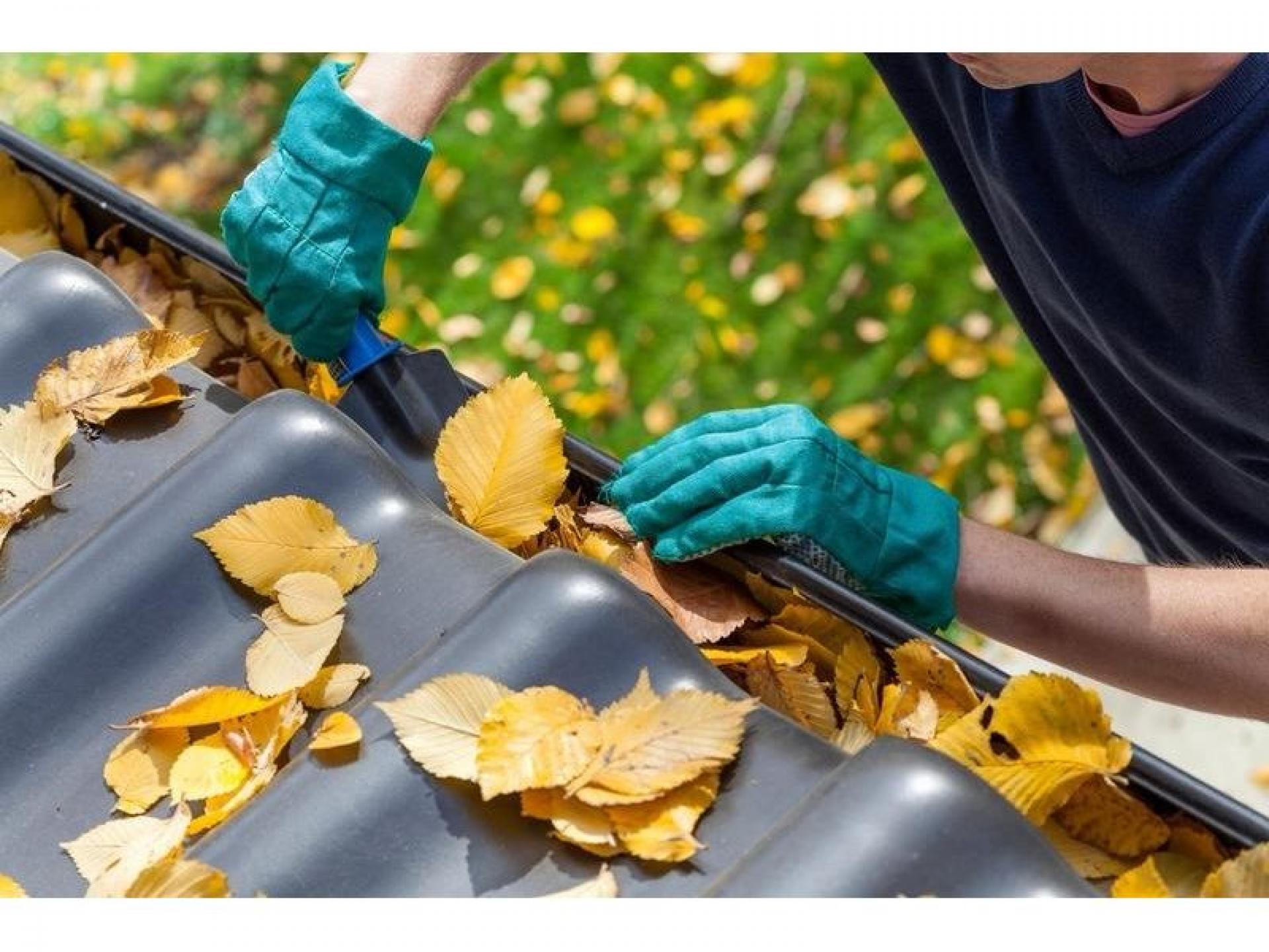 Independent Gutter Cleaning Business 539866 2