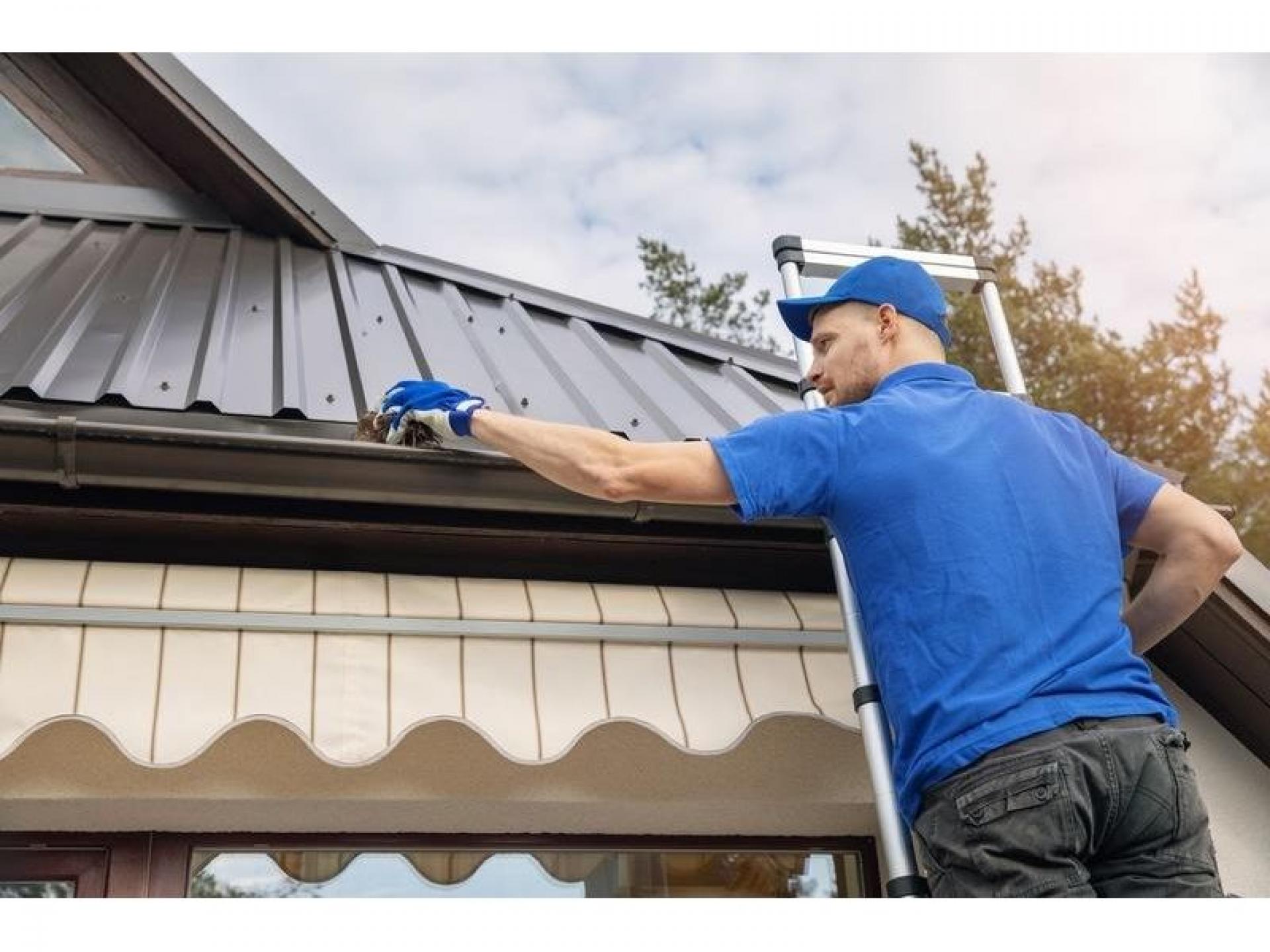 Independent Gutter Cleaning Business 539866 3