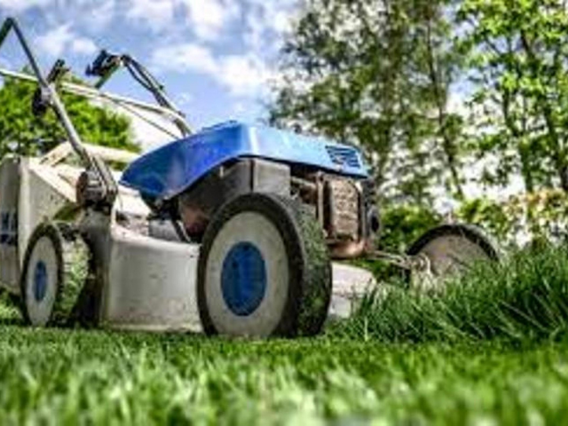 Lawn And Strata Maintenance 540301 1