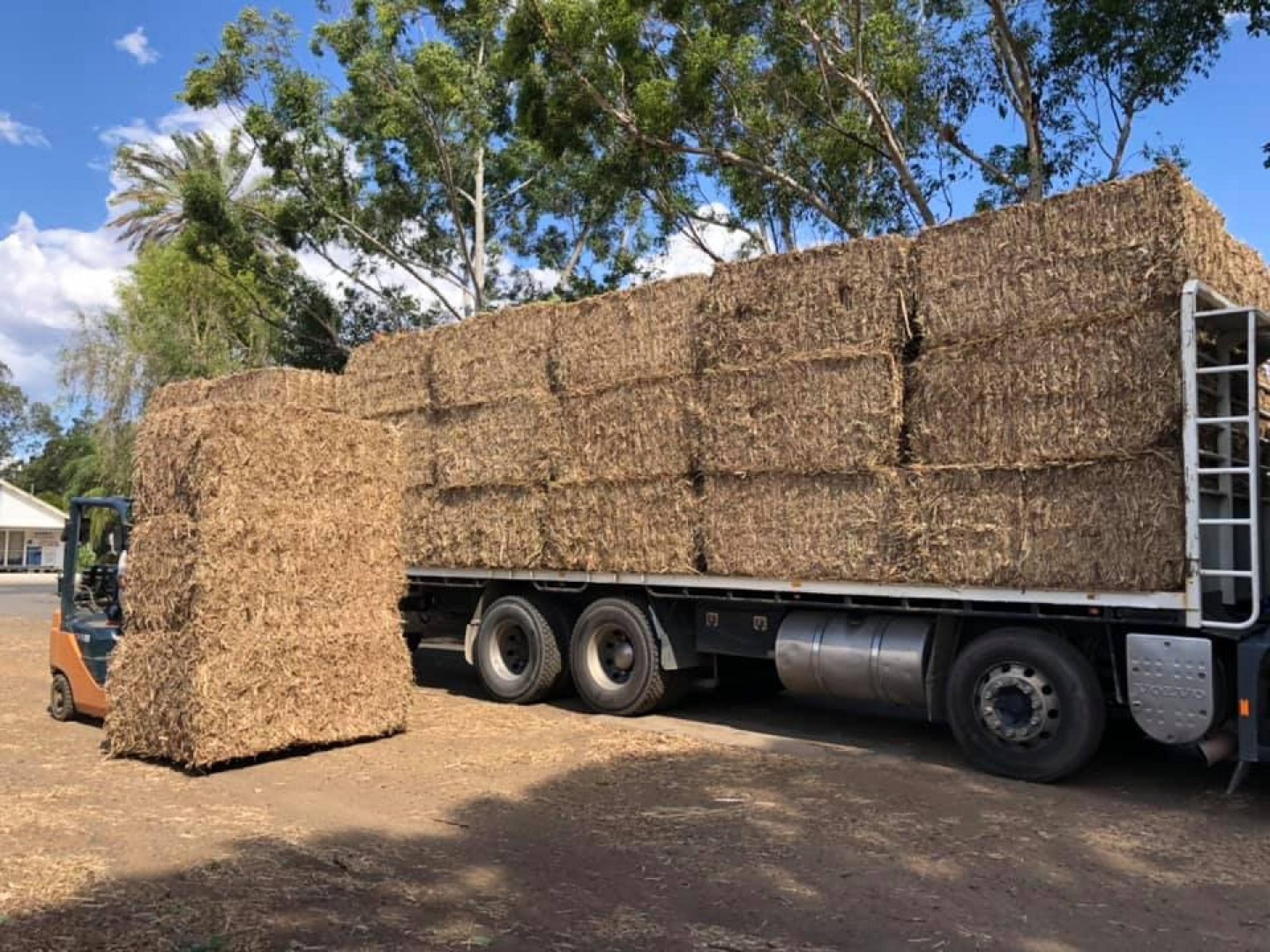 Stockfeed Pet Food & 542445 2