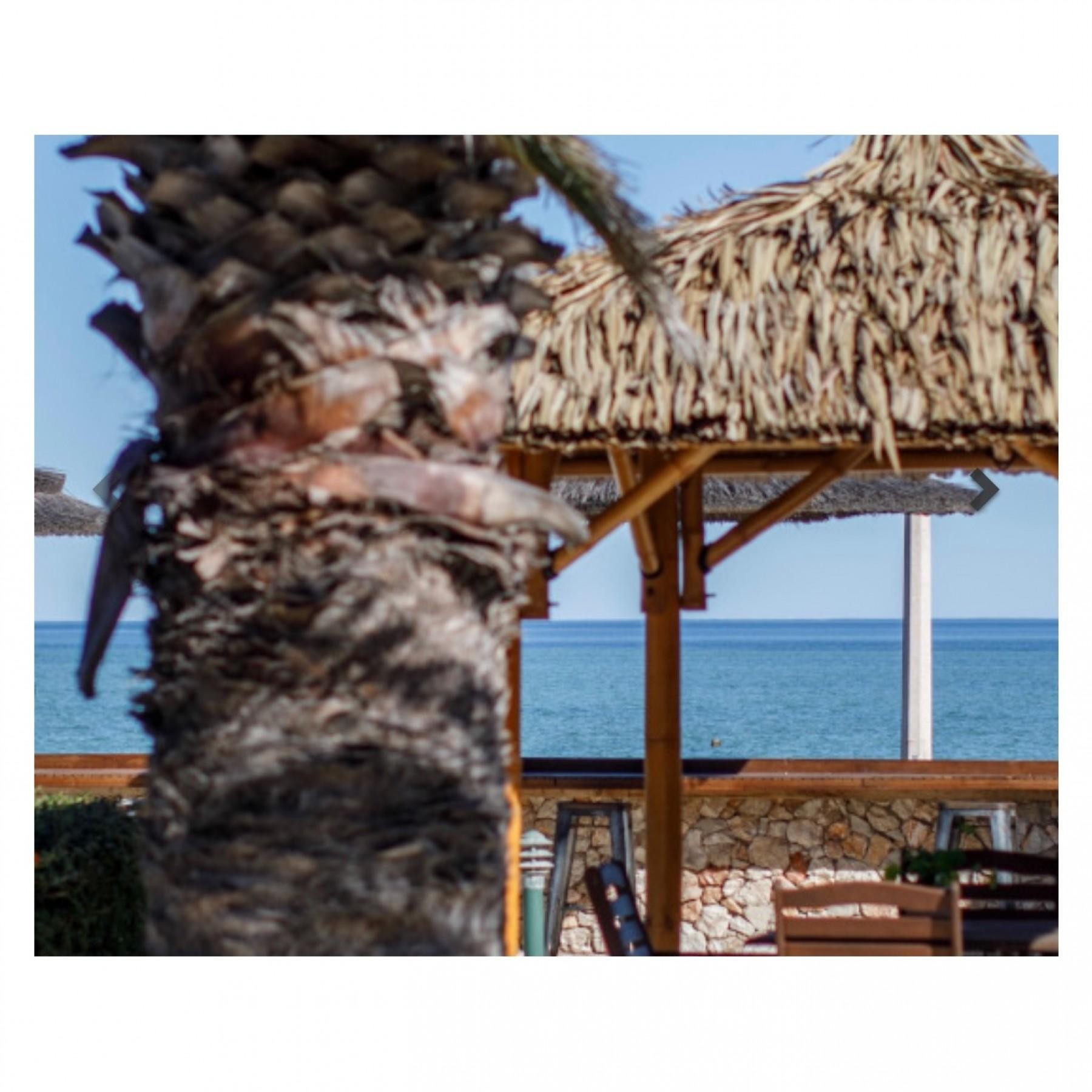 Thriving Tourism & Accommodation 542957 2